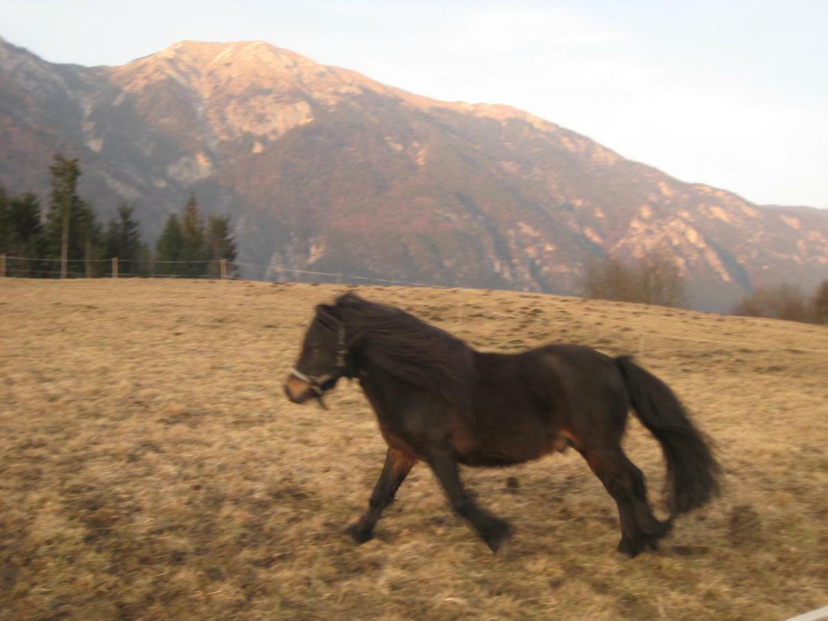 Haus Kaiser Passriach Экстерьер фото